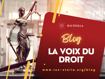 Welcome to our blog !