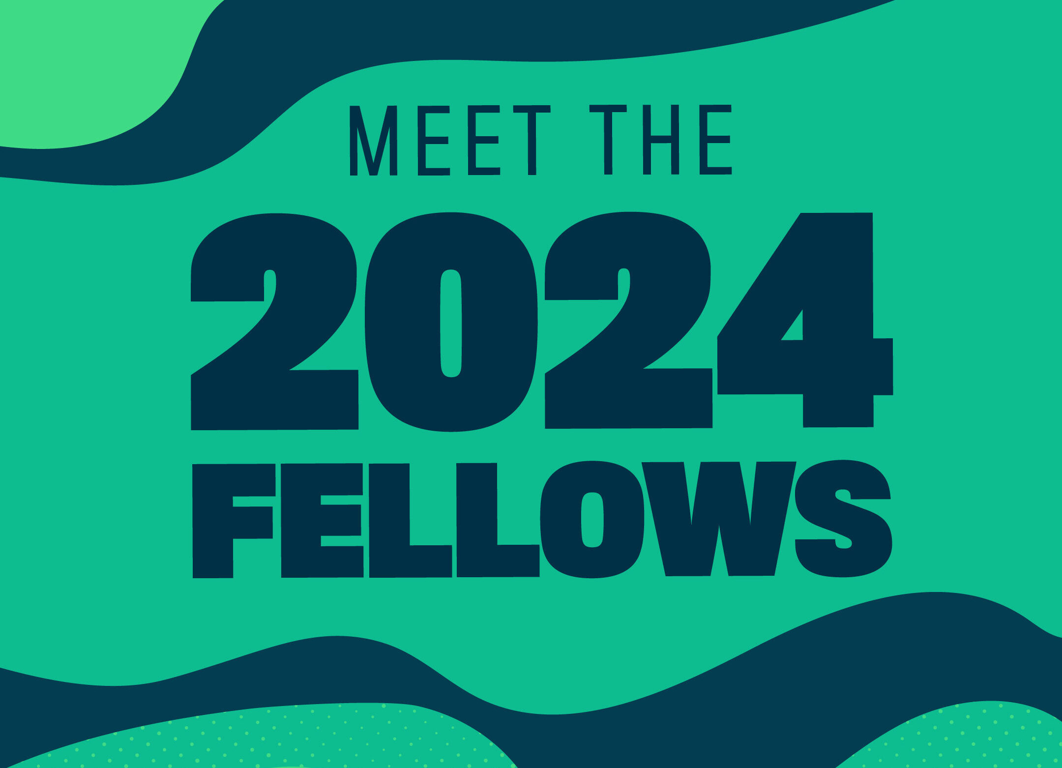 Ius Stella’s Founder Awarded a Prestigious 2024 Echoing Green Fellowship